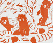 Topbound Pocket Sized Red Pandas Decomposition Book