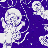Otherworldly Decomposition Pens | Kittens In Space